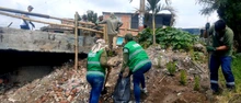 Mejoran indicadores de Gobernabilidad Ambiental en Cali
