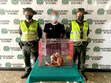 Nueva acción contra el tráfico y maltrato animal