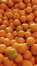 Seguimos buscando las mejores recetas que representen la cocina caleña
