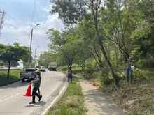 Alcaldía previene caída de árboles en temporada invernal