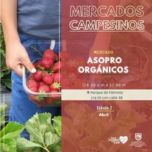 Llegó la hora de apostar por lo orgánico, natural y fresco con nuestros mercados campesinos