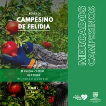 Llegó la hora de apostar por lo orgánico, natural y fresco con nuestros mercados campesinos