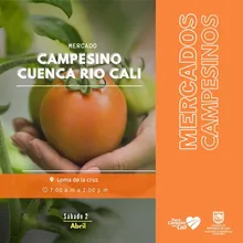Llegó la hora de apostar por lo orgánico, natural y fresco con nuestros mercados campesinos