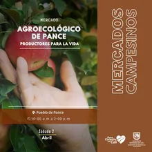 Llegó la hora de apostar por lo orgánico, natural y fresco con nuestros mercados campesinos