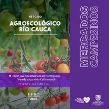 Llegó la hora de apostar por lo orgánico, natural y fresco con nuestros mercados campesinos