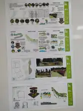 Bosques Urbanos de Cali, de la mano con la academia  