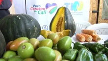 Las huertas urbanas comunitarias impactan en Llano Verde