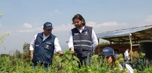 Se continúa entregando 26.1 km de oportunidades a la caleñidad