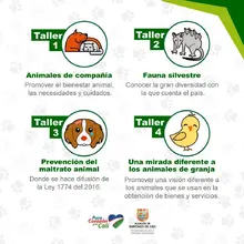 Cultura Interespecie