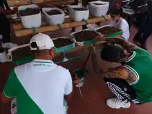 Huertas urbanas