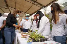 Huertas urbanas