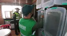 Nuevo golpe a la tenencia y tráfico de fauna en Cali