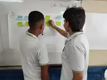 Alcaldía de Cali avanza en construcción de Política Pública Interespecie