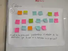 Alcaldía de Cali avanza en construcción de Política Pública Interespecie