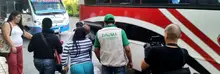 Incrementan acciones de control para proteger la palma de cera