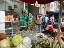 Incrementan acciones de control para proteger la palma de cera