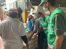 Positivo balance de control al tráfico de especies en Semana Santa