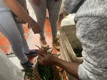 Positivo balance de control al tráfico de especies en Semana Santa