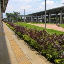 Avanzan obras de construcción del MIO en Troncal de Oriente y terminal de Aguablanca