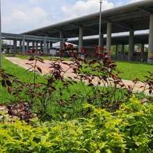 Avanzan obras de construcción del MIO en Troncal de Oriente y terminal de Aguablanca