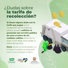 Vive en armonía con la naturaleza: separa bien los residuos sólidos