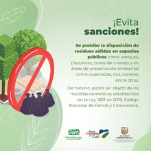 Vive en armonía con la naturaleza: separa bien los residuos sólidos