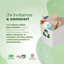 Vive en armonía con la naturaleza: separa bien los residuos sólidos