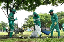 1480 toneladas de residuos se recogieron durante primer día del plan de choque para limpiar a Cali