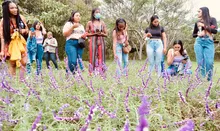 Estudiantes nariñenses visitaron Corazón de Pance   