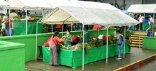 Disfrute este fin de semana llevando los mejores productos del campo a su mesa