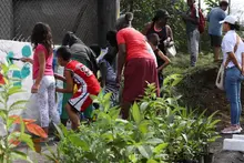 Con murales y siembra de árboles, se embelleció punto impactada por arrojo de residuos 