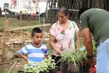 Oferta ambiental del DAGMA se trasladó  al Parque del Perro en la Comuna 19 