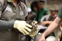 Oferta ambiental del DAGMA se trasladó  al Parque del Perro en la Comuna 19 