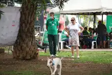 Oferta ambiental del DAGMA se trasladó  al Parque del Perro en la Comuna 19 