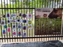 Alcaldía de Cali realiza talleres pedagógicos por el bienestar animal
