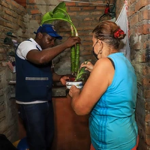 Salud Pública intensifica acciones de control para prevenir el dengue