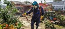 Salud Pública intensifica acciones de control para prevenir el dengue