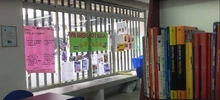 Imagen para boletín