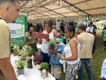 ‘Gobierno al Barrio’ llegó con acciones ambientales a Marroquín II