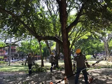 San Fernando