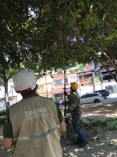 San Fernando