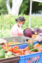 Desde el viernes regresan nuestros mercados campesinos con la mejor oferta orgánica y natural