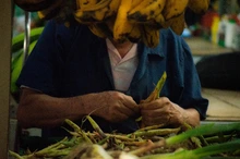 Desde el viernes regresan nuestros mercados campesinos con la mejor oferta orgánica y natural