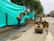 Recuperan ambientalmente separadores viales