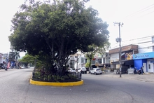 Proyecto de adecuación paisajística y mejoramiento funcional de separadores viales de la Carrera 66