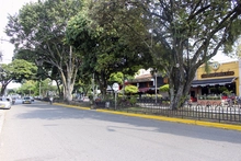 Proyecto de adecuación paisajística y mejoramiento funcional de separadores viales de la Carrera 66