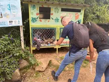 Habitantes de Montebello le apuestan a dar ejemplo en el manejo de residuos sólidos