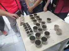 Inició Ciclo de Nivelación de Huertas Orgánicas con habitantes de la comuna 3