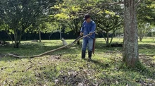 Cesión y entrega zona verde corregimiento La Viga-Pance