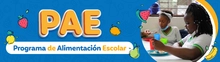 Banner - PAE